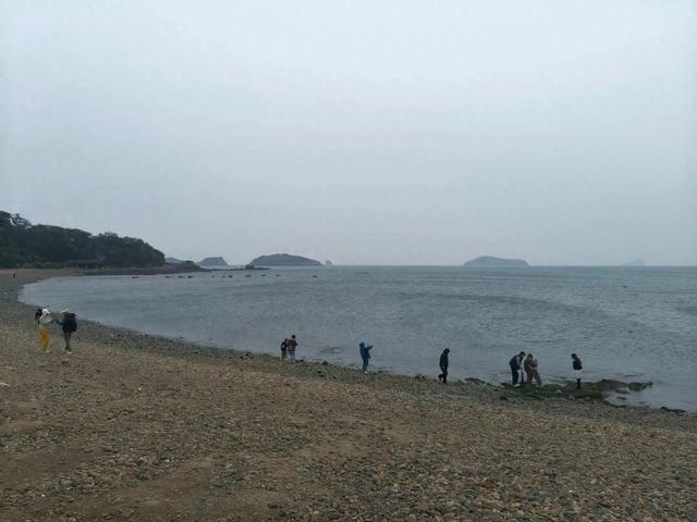 银沙滩丨张红达