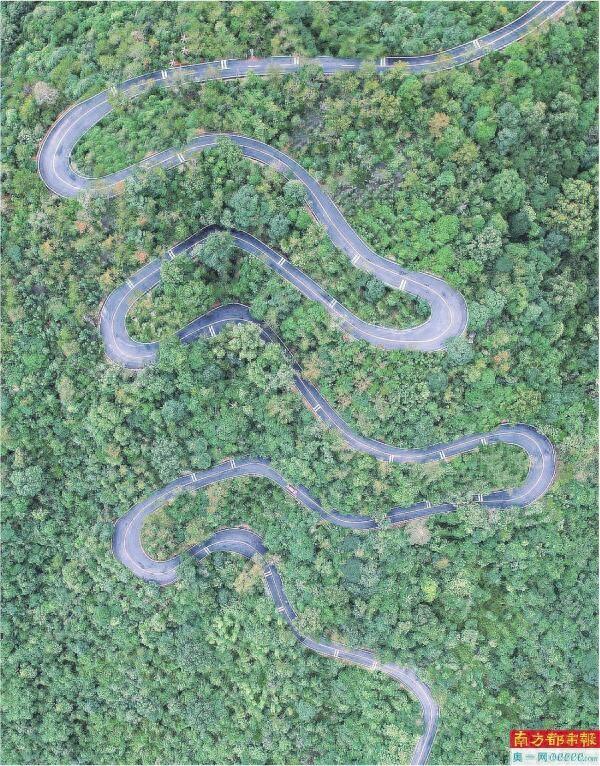 龙门锚定世界级森林温泉康养地