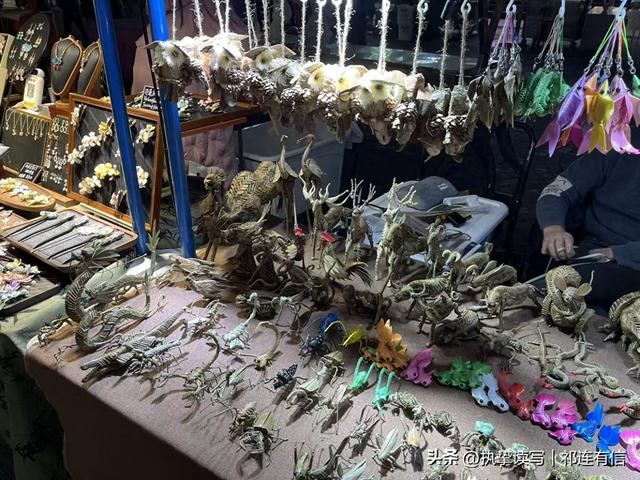 跟随儿媳“云旅游”苏杭