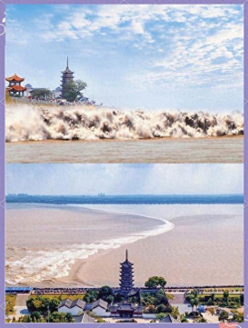 钱塘江涌动着暗潮。浪潮裹挟着秋日的气息，似千军万马奔腾而来