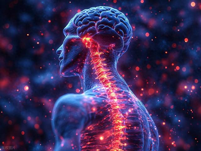 独立进化的飞行计算机″：翼龙如何在无前例基础上打造神经中枢