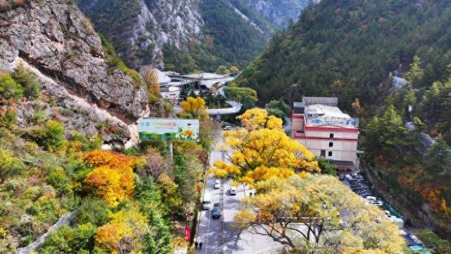 秋假九寨沟亲子游火爆 红叶彩林间邂逅“童话世界”