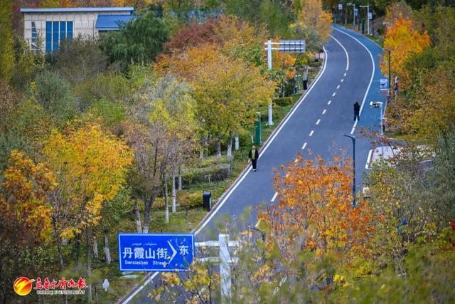 为了你的假期，乌鲁木齐的公园真的“很卷”！