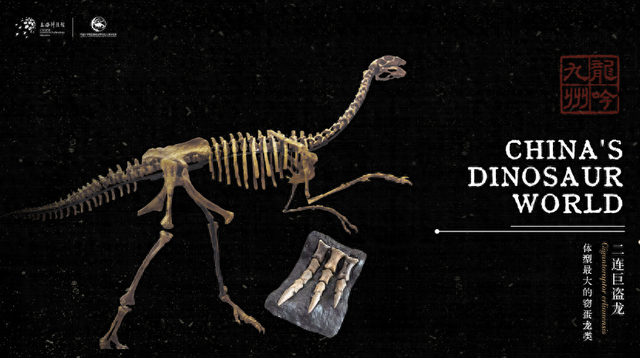 灵魂干饭“龙”从来不挑食？它的秘密全都写在下巴上了！