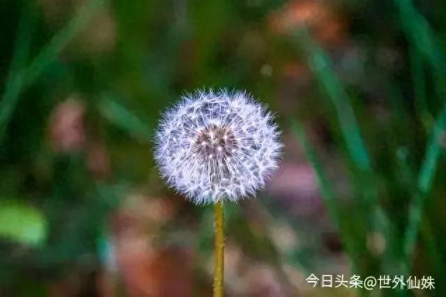 热天 雨天 去看博物馆 有空调 雨淋不着