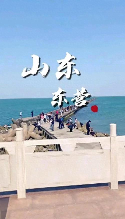 山东东营旅游攻略：探索黄河入海口的魅力之地