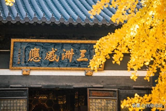 11月一定要收藏一份全国银杏观赏地图