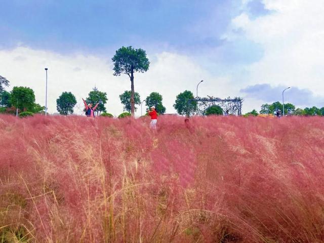 超出片！又被岳阳圈“粉”了