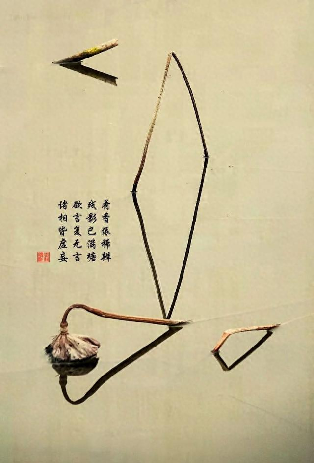 一日练拳	，其益犹浅；终岁习功，其效方深	。——题记