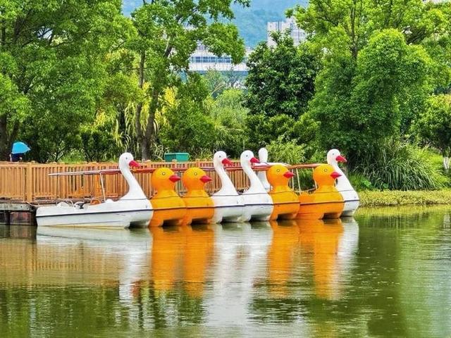杭州这个湿地，“住”着104种鸟