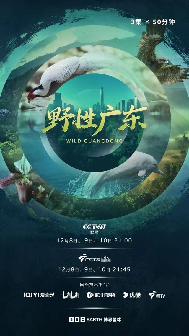 解锁广东隐藏副本：原来这么“野”！