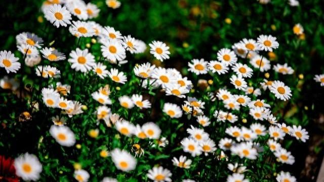 蔡骏：造访一位智者