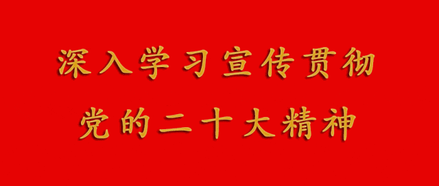 湄洲党工委主要领导带队调研旅游交通秩序整顿提升工作