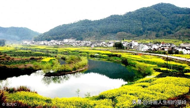最美乡村婺源有哪些免费的景点?