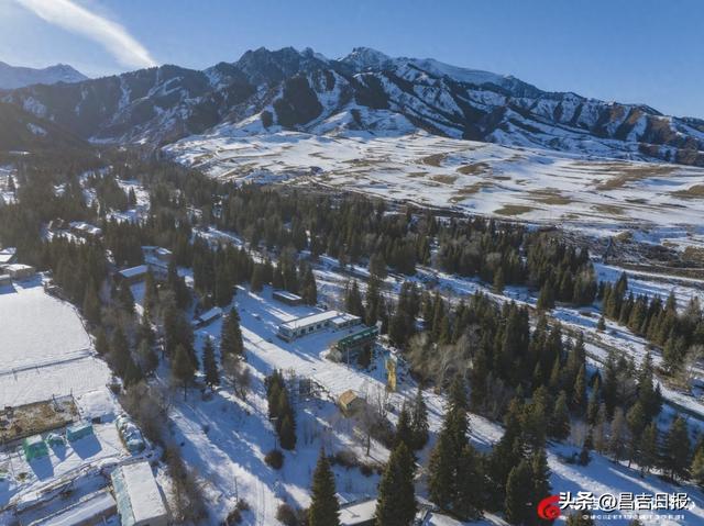 吉木萨尔渭户沟：雪落山林披银装 冬日画卷藏诗意