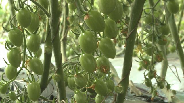 悠然家乡，蓝天白云，青山绿水，自然之美无处不在。请到大美盘山来（第664篇）