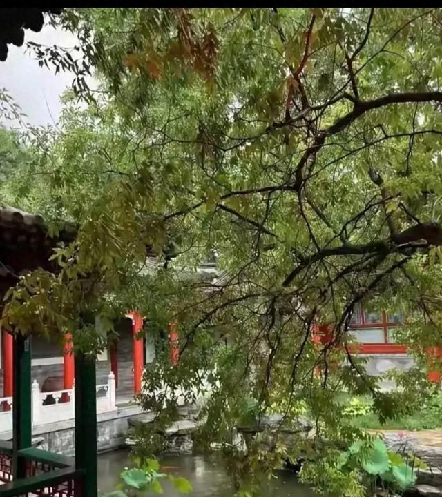 李湘在平台晒自家北京小院。大到让网友以为是景区，真的太有钱了