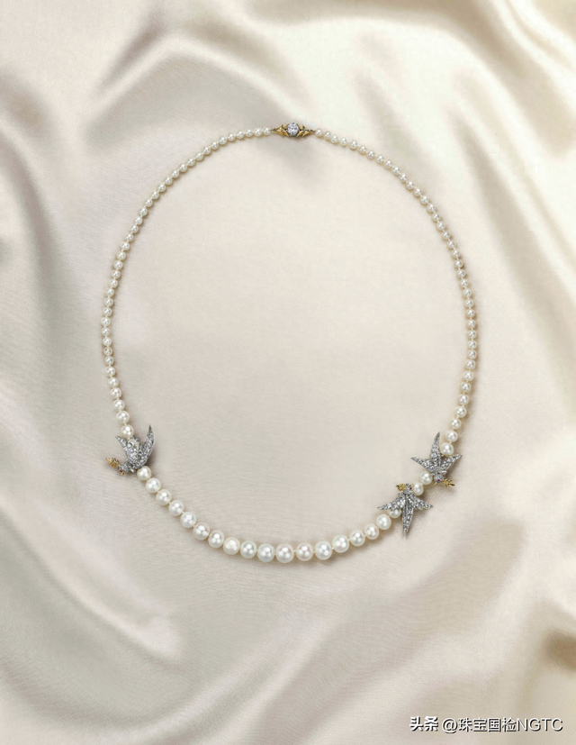 无优化珍珠（解锁珍珠之惑珍珠的优化及处理选购及保养）