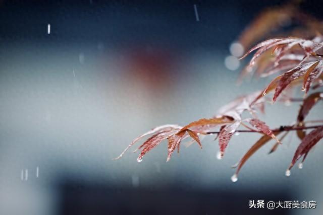 “三九冷不冷，就看立冬”，明日立冬，下雨预兆今年冷冬吗