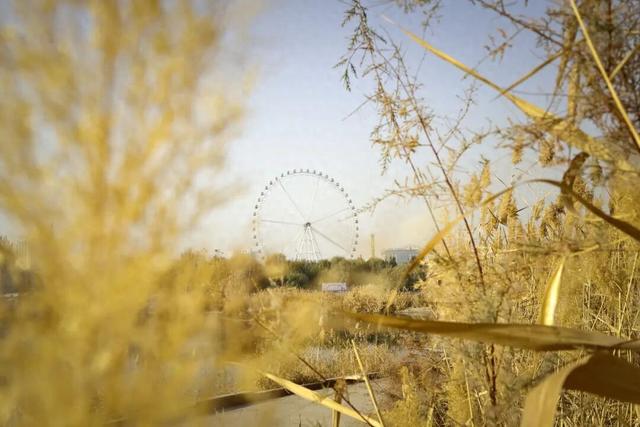 冬日喀什，一半诗意一半烟火！