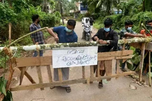 印度暴发疫情详情披露：护士或误饮蝙蝠污染的椰枣汁	，传染同事，均现高烧和呼吸困难！张文宏发声→