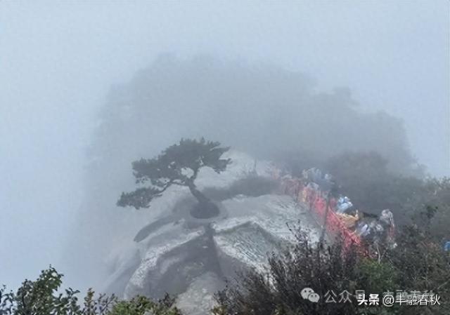 华山的云雾奇观｜ 李 芳