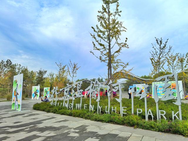 百花争艳！秋日温榆河公园宛如色彩海洋