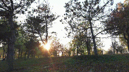 这么近那么美~猜猜这是哪？