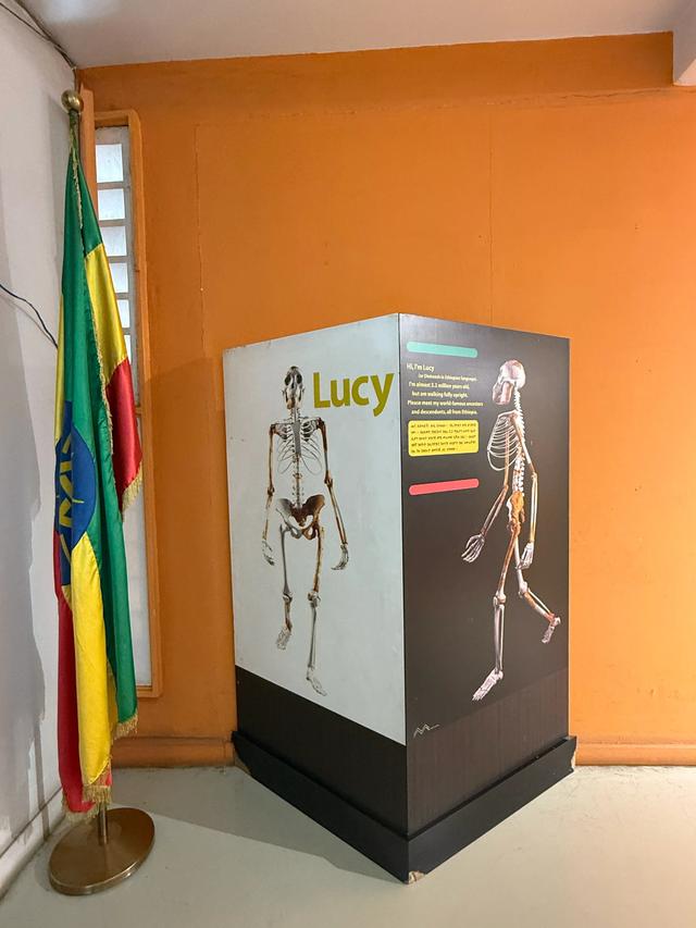 【联合国特别大师】人类祖先露西与世界选美