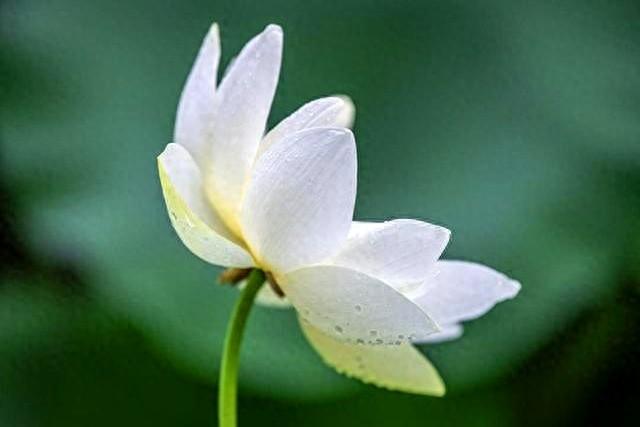 运动会上激励运动员的话（30句为自己加油鼓劲的短句）