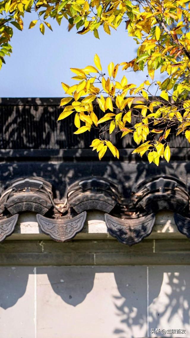 好客山东好品山东｜立冬至，最后一抹兰陵秋色打包送给你~