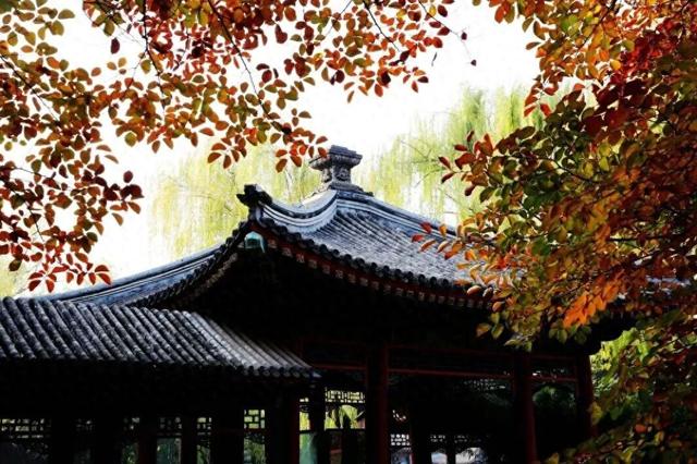 周末带娃赏秋，请收好这份市属公园彩叶地图