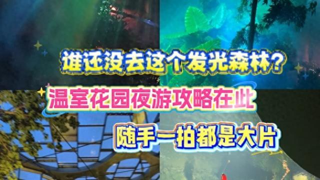 魔都生活指北