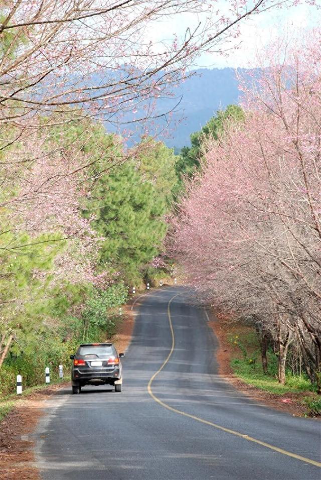 均温25℃，游客仅大理1%！云南这座小城，只有冬天才会被想起