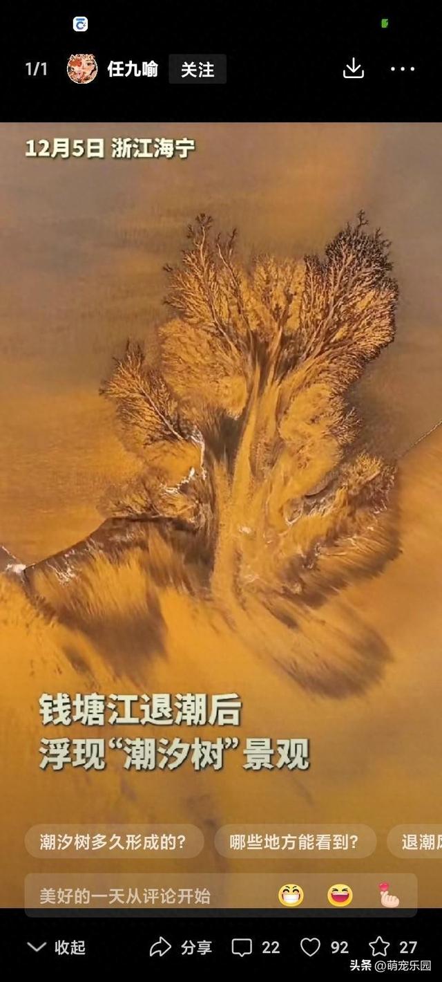 操控无人机偶遇钱塘江奇观，退潮后滩涂现巨型潮汐树