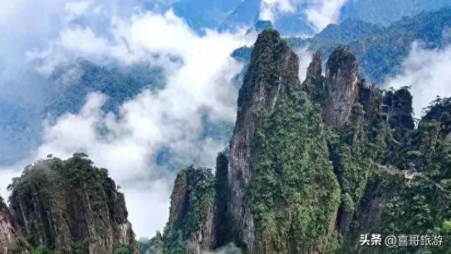 湖南秘境！莽山五指峰：绝壁栈道、云海仙境，仿佛走进武侠世界！