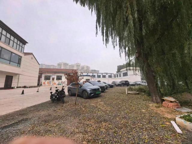 是故意伤害还是正当防卫：一桩“狗咬人”引发的血案成罗生门？