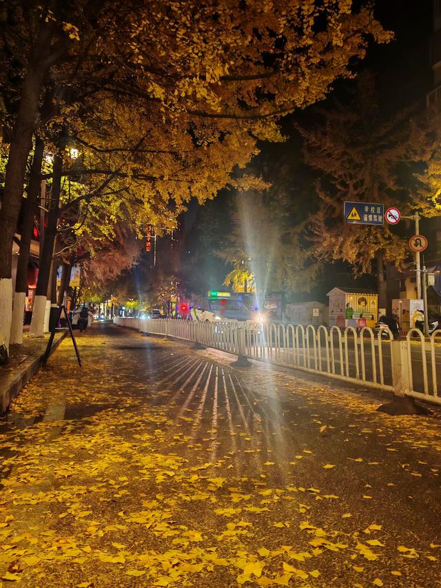 当春城夜色遇银杏金黄！昆明这处夜景观赏地，美到窒息→