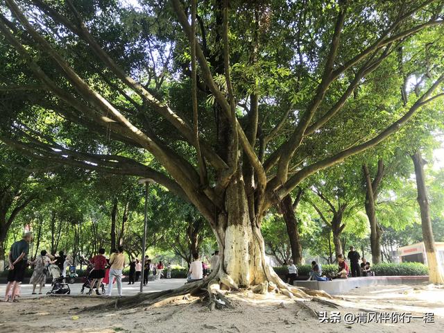 为什么我说广州南沙的夏天比我湖北老家凉快呢，今天来解释一下