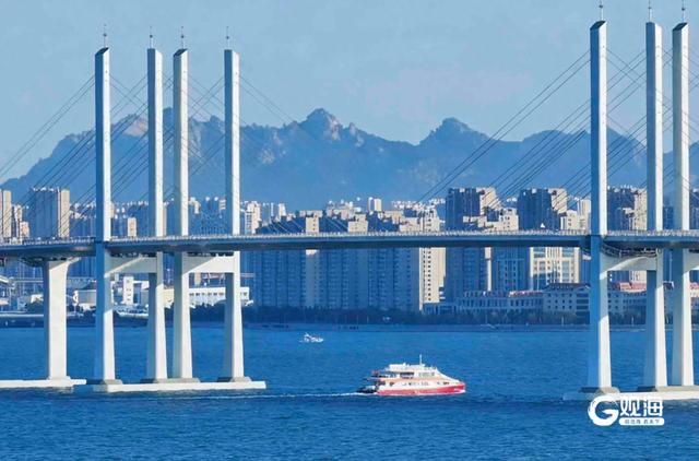 青岛“海上穿越大桥”航线火爆出圈，总销售额突破百万元