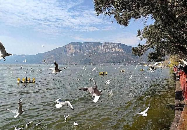 离开苏州，移居昆明两年了，对比下两地的生活吧！实话实说！