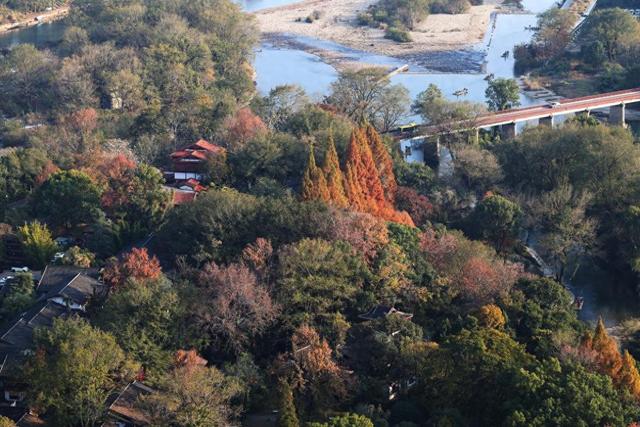 武夷山国家公园武夷宫景区层林尽染最美冬景