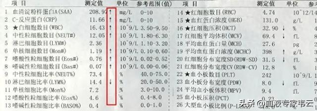 这是一份血常规的报告（血常规报告上的↑↓代表了什么一篇文章带你了解清楚）