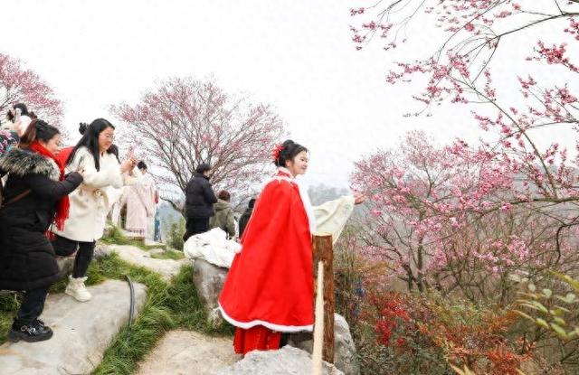 贵州梅园，体验感更好了！