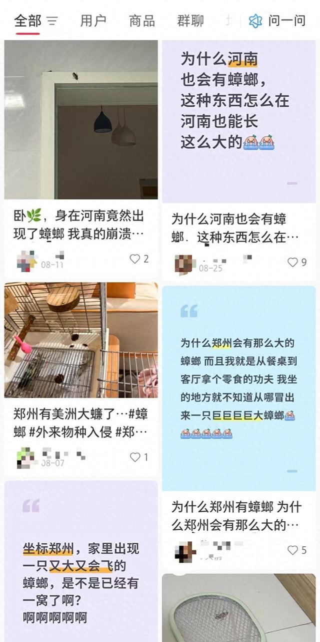 蟑螂会飞么（与天气有关河南多地惊现会飞大蟑螂）