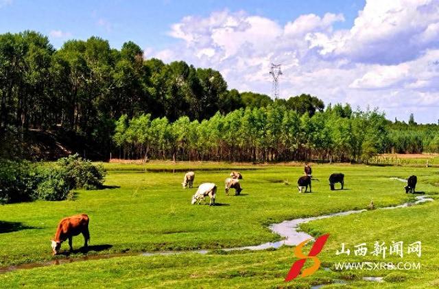 大同市左云县十里河千年古河换新颜 绘就生态宜居新画卷