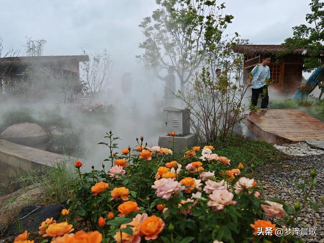 云梦仙境花开十月花雾醉游人