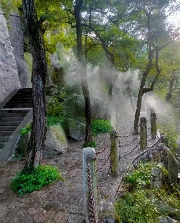速看！崂山九水游览区有新变化→