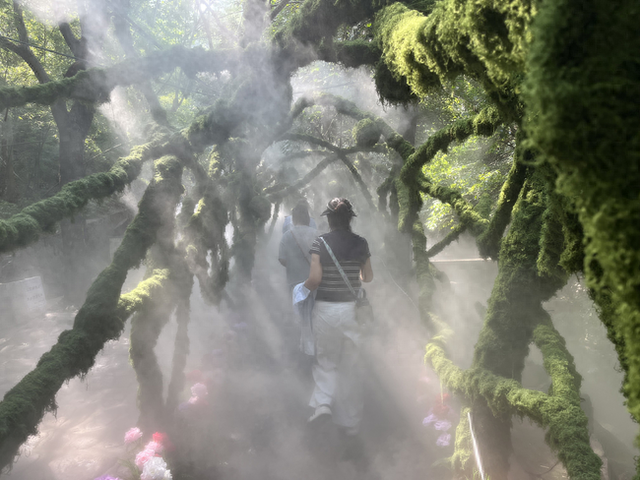 河南舞钢：加速景区提档升级 赋能旅游高质量发展