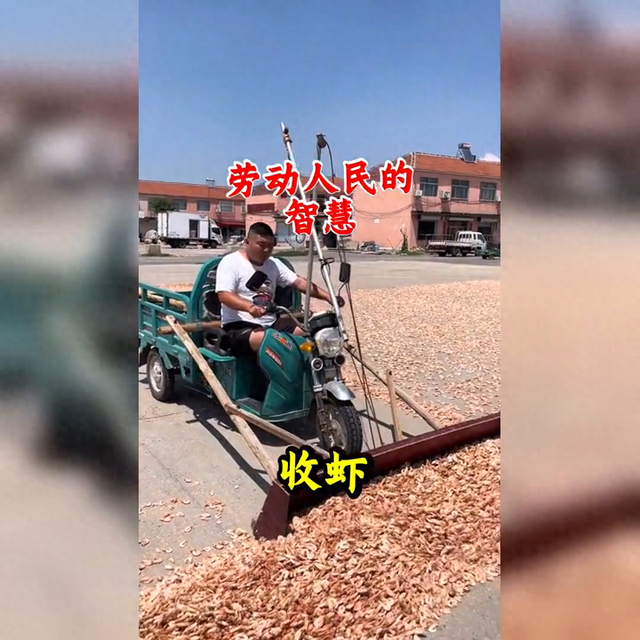 如何做好吃又简单的干虾仁（自然晒干大虾仁）